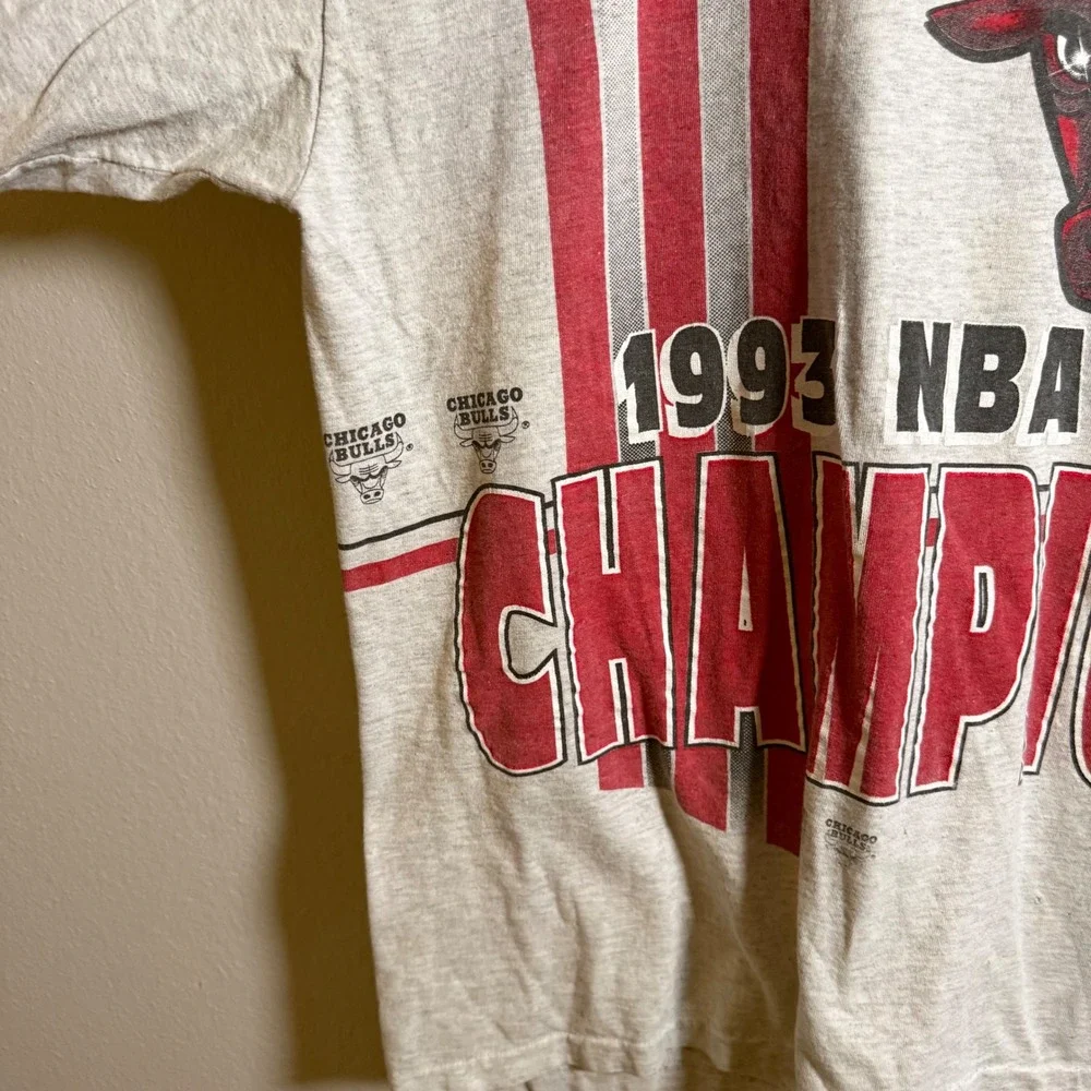 Vintage 1993 Chicago Bulls NBA World Champions T-Shirt Salem Single‎ Stitch Grey